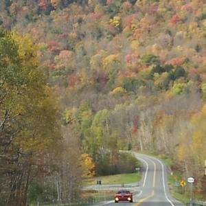 Meet your Posher, Florence